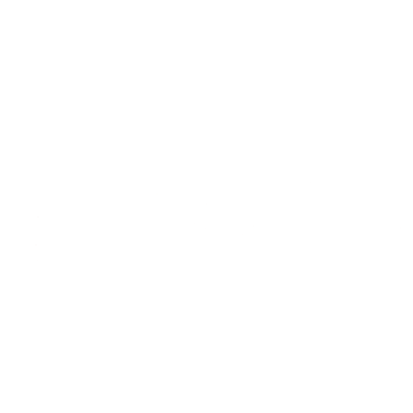 boltrics